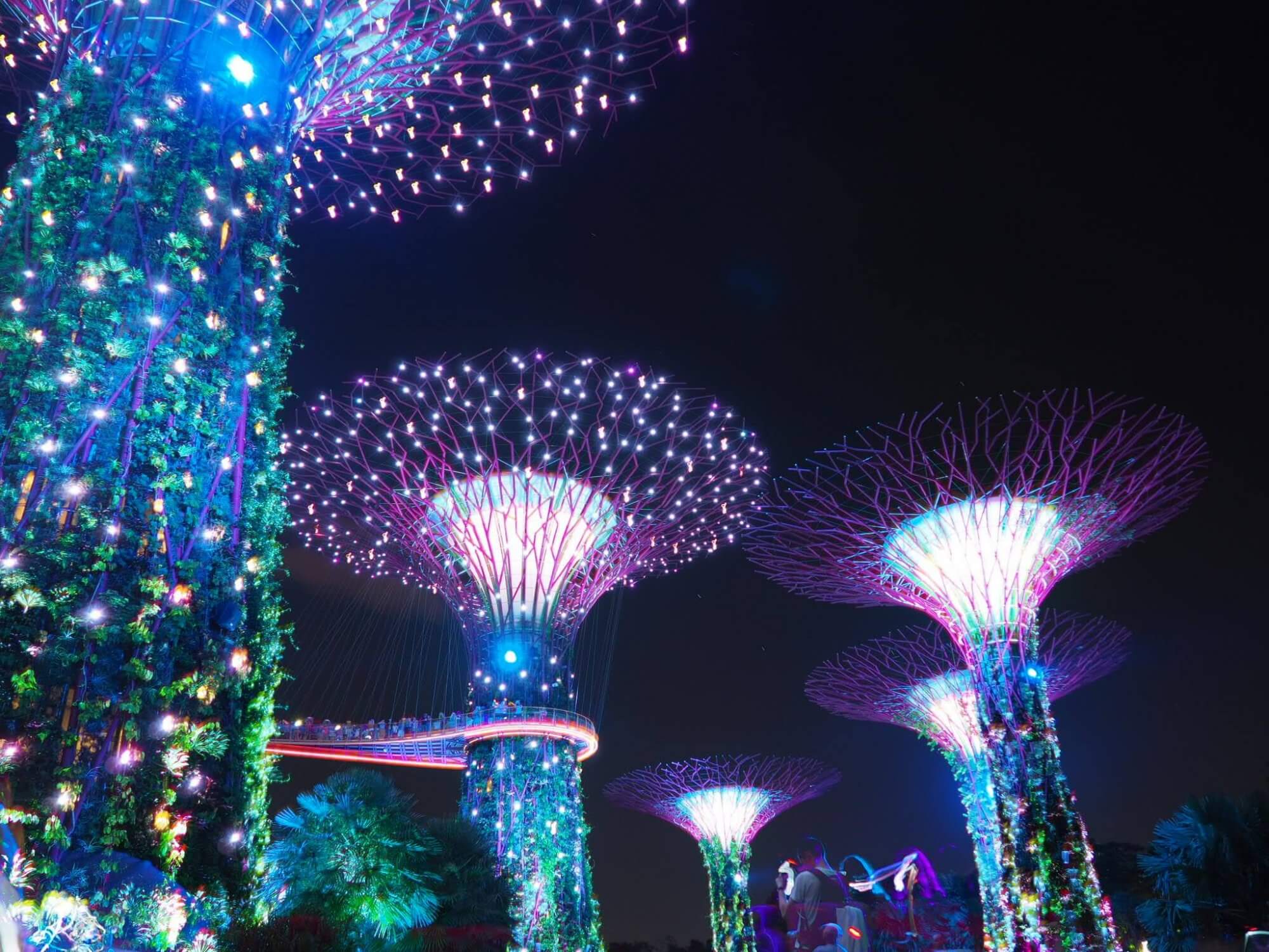 Lightshow Gardens by the Bay