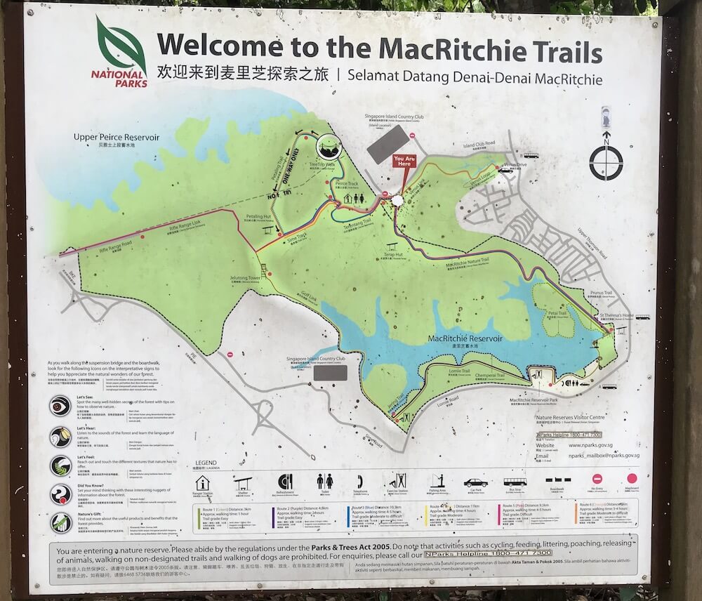Übersicht MacRitchie Reservoir